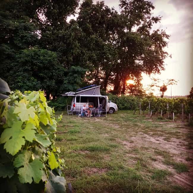 Saint-Emilion : Tasting of 4 wines in a family vineyard - Logistics that matter in Saint-Émilion: timing, what to bring, and what to skip