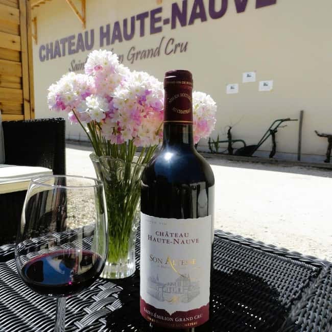 Saint-Emilion : Tasting of 4 wines in a family vineyard - Should you book this tasting at all?