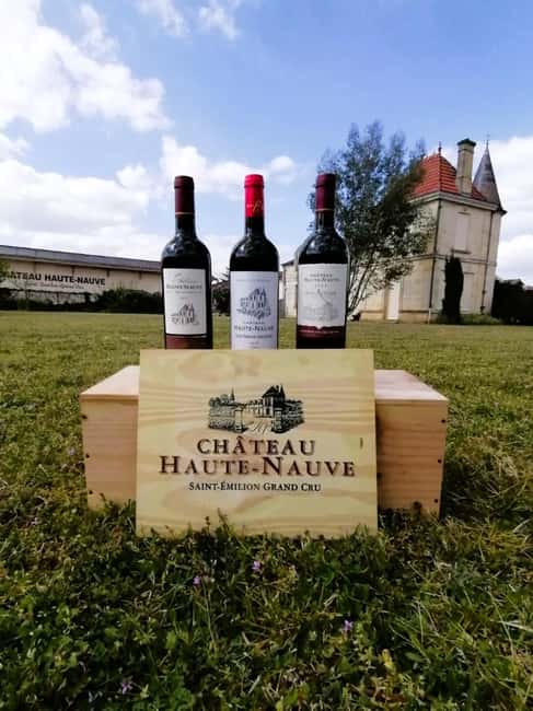 Saint-Emilion : Tasting of 4 wines in a family vineyard - The 40-minute flow: how the tour stays focused and still feels like a lesson
