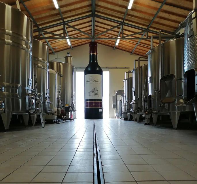 Saint-Émilion: Vineyard Walking Tour and Tasting - Key highlights to look for