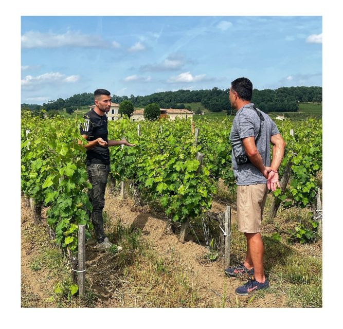 Saint-Émilion: Vineyard Walking Tour and Tasting - Who should book this Saint-Émilion wine walk and tasting