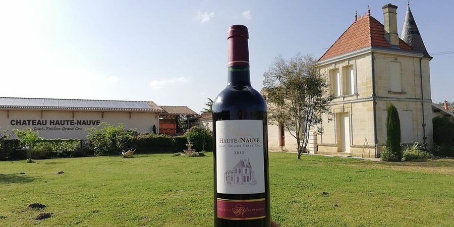 Saint-Émilion: Vineyard Walking Tour and Tasting - Getting your bearings at the château