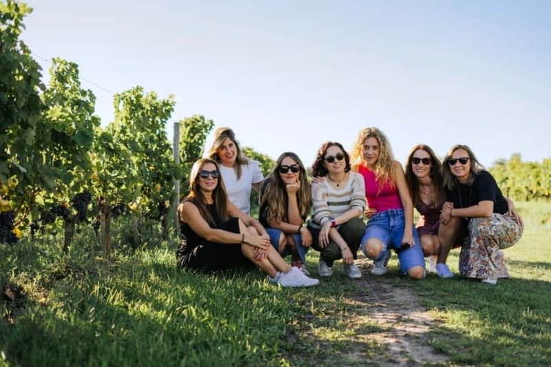 Saint Emilion Wine Tour + blending workshop Bordeaux fullday - 2 pm drive into Saint-Emilion: switching from city tasting to vineyard reality