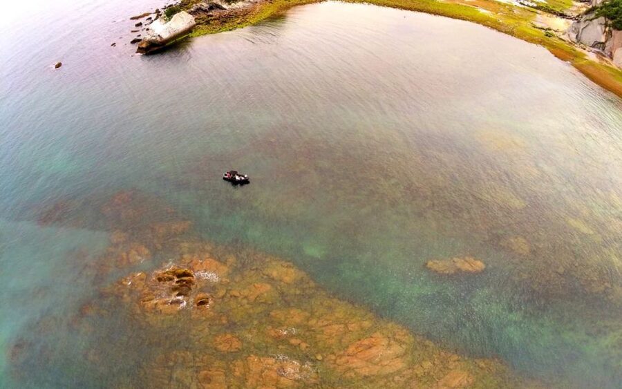 Saint-Jean-de-Luz, Basque country: Boat tour along the Coast - Bay of Loya And The Basque Corniche From Sea Level