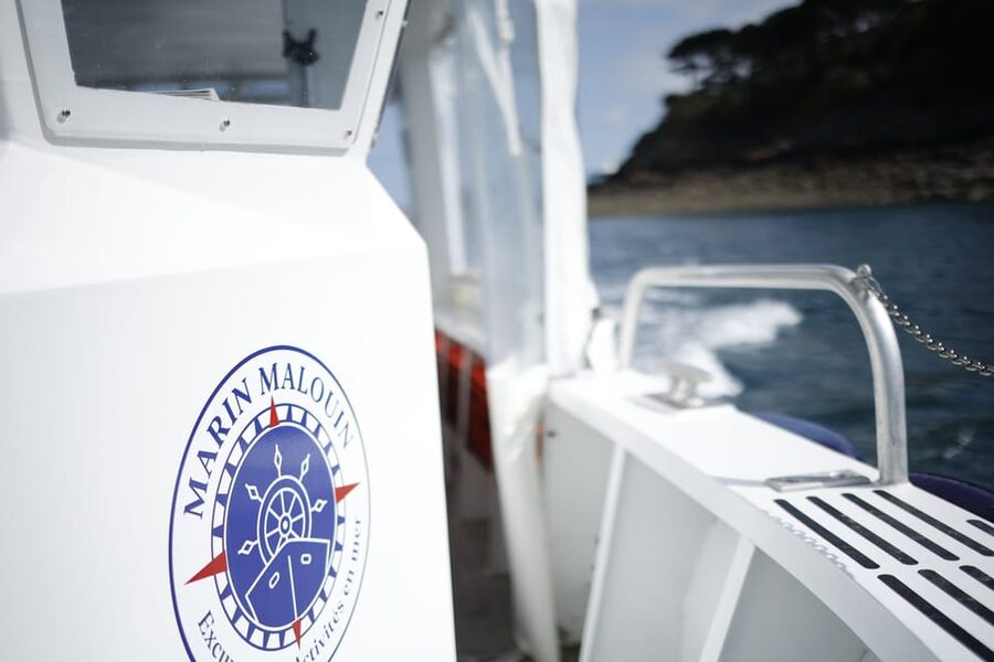 Saint-Malo: Guided Boat Tour with Local Captain - What you actually see on the water: forts, harbors, and tidal islands