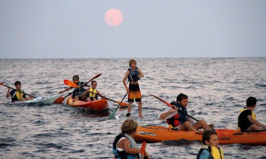 Saint-Tropez: Kayak Experience in Ramatuelle Reserve - Why this Ramatuelle kayak beats the usual Saint-Tropez routine