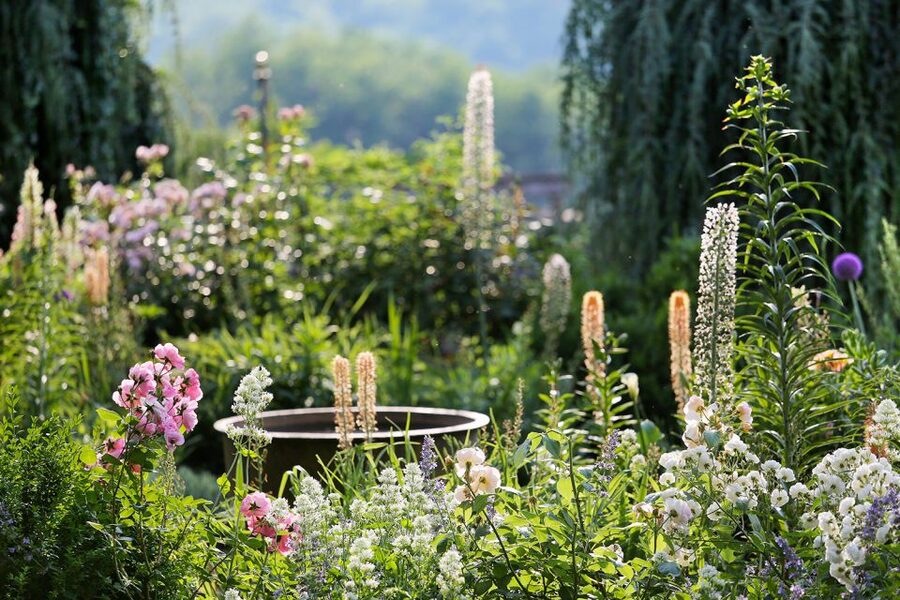 Salignac-Eyvigues: Gardens of Eyrignac Manor Entry Ticket - The white garden and rose focus