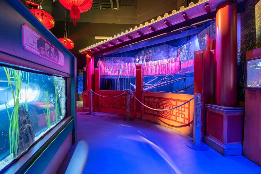 SEA LIFE Paris: Admission Ticket - Who SEA LIFE Paris is best for