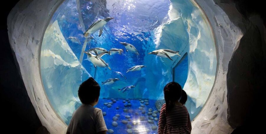 SEA LIFE Paris: Admission Ticket - Main galleries: hundreds of ocean animals, plus the big-ticket tanks