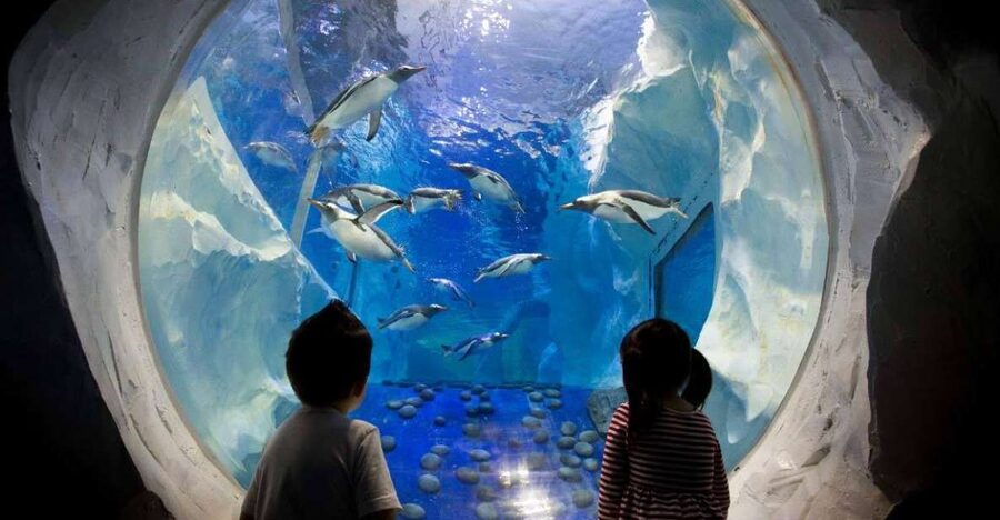 SEA LIFE Paris: Admission Ticket - Rock pool time: touching small crabs and learning the why