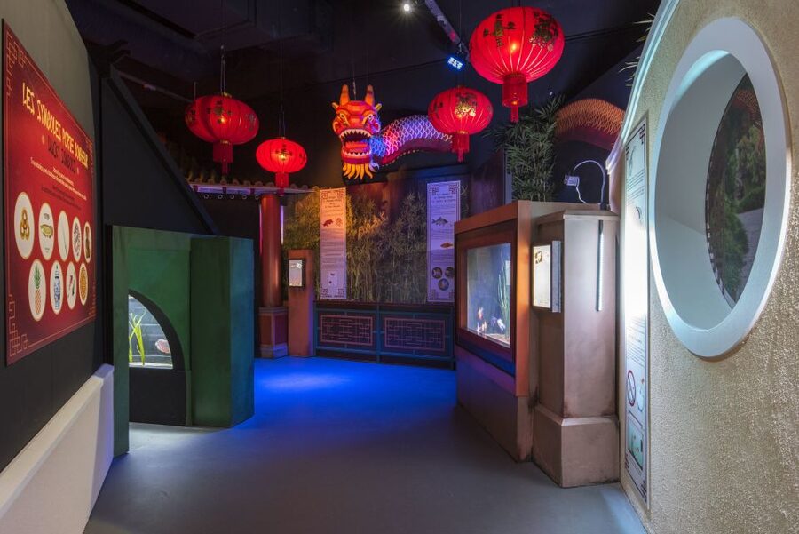 SEA LIFE Paris: Admission Ticket - Atlantis: turtles and sharks swimming through themed ruins