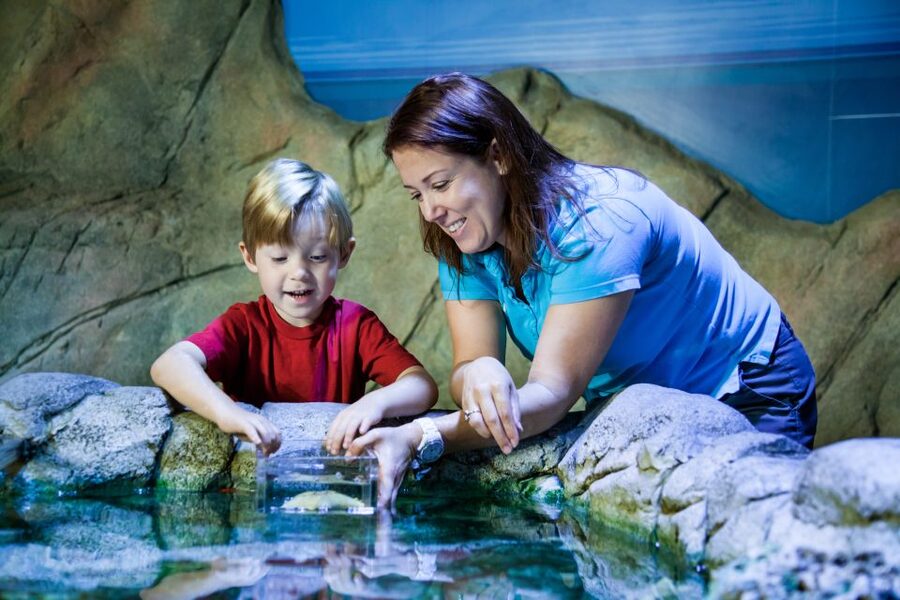 SEA LIFE Paris: Admission Ticket - Asia-themed zone: a new detour inside the same day