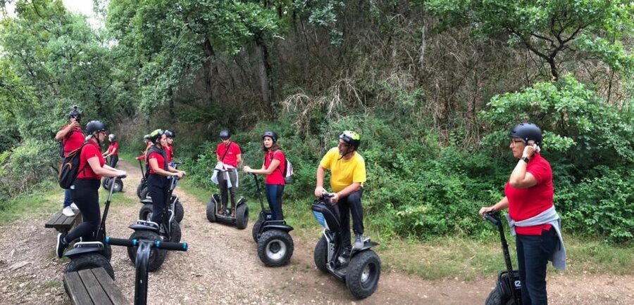 Segway hike 2h00 Aix les Bains between lake and forest - Wetlands, Wild Coast, Wandering Garden, and the Crocodile Stop