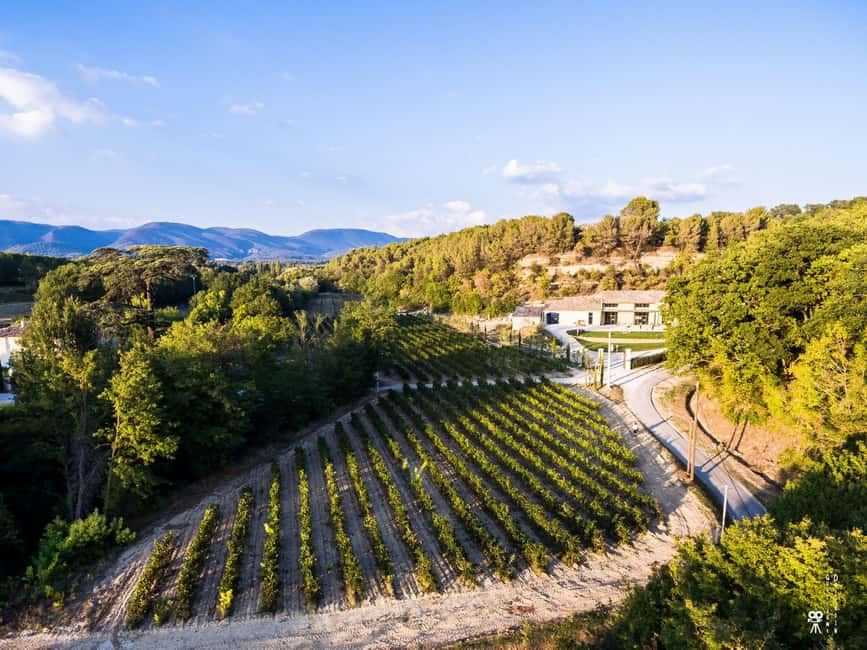Self tour of the olive oil mill & olive oil tasting - Bastide du Laval in the Luberon: a Provençal stop that stays practical