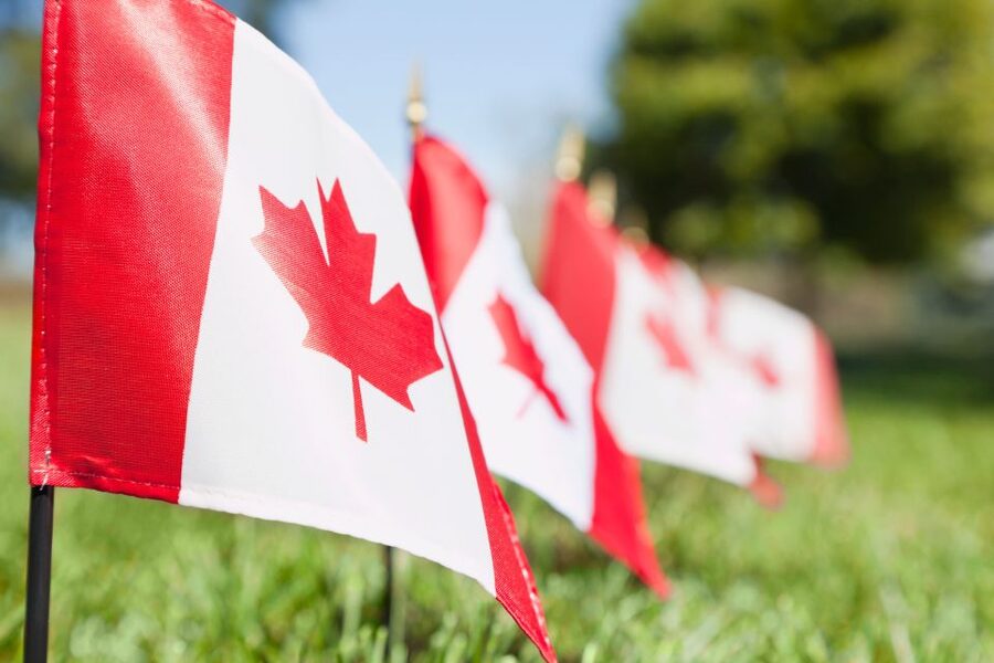 Small-Group Canadian Normandy D-Day Juno Beach from Paris - Key things to know before you go