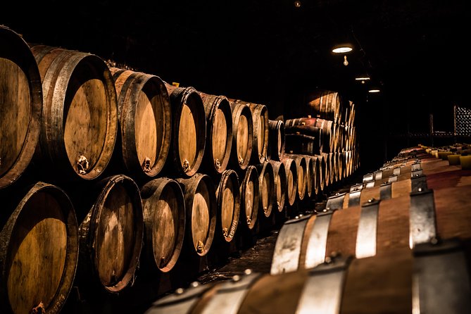 Small-Group Full-Day Tour of Côte de Nuits, Côte de Beaune Vineyards and Beaune Historical District - Key things that make this Burgundy day tour work