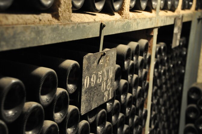 Small-Group Full-Day Tour of Côte de Nuits, Côte de Beaune Vineyards and Beaune Historical District - How the small group and minivan shape your day