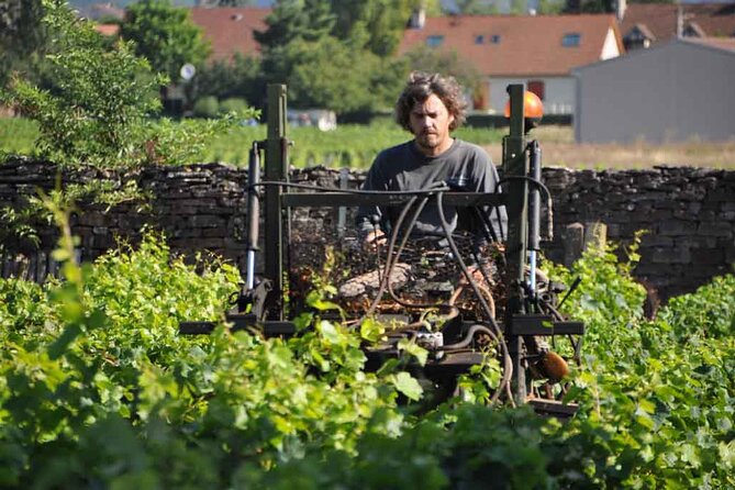 Small-Group Full-Day Tour of Côte de Nuits, Côte de Beaune Vineyards and Beaune Historical District - Driving through the vineyards: the scenery that actually helps you remember