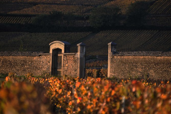 Small-Group Full-Day Tour of Côte de Nuits, Côte de Beaune Vineyards and Beaune Historical District - Guides and personalities: the day can feel different