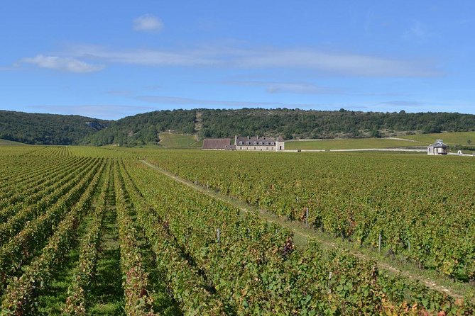 Small-Group Full-Day Tour of Côte de Nuits, Côte de Beaune Vineyards and Beaune Historical District - Two tastings at two very different kinds of wineries