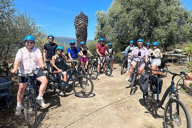 Small Group Guided E-bike Tour in Nice's Organic Vineyard - Where the Ride Starts: Nice Promenade Energy to Vineyard Backroads