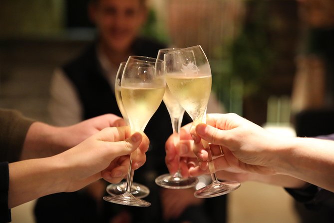 Small Group - Half Day Champagne Tour - Visit of 2 Small Producers/Growers - What a Half-Day Really Means Here (About 4 Hours)
