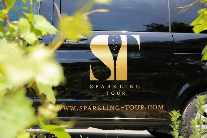 Small Group - Half Day Champagne Tour - Visit of 2 Small Producers/Growers - Who Should Book This Champagne Tour (and Who Might Not)