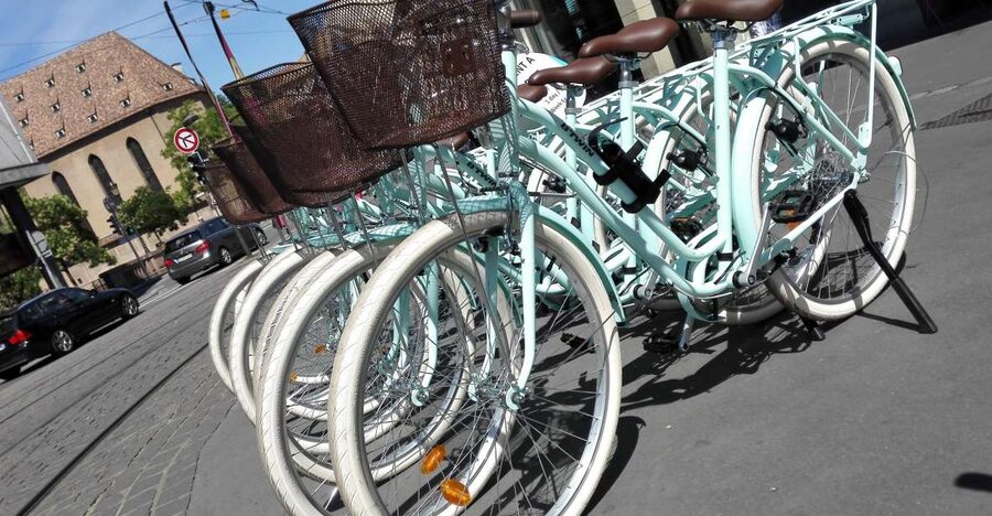 Strasbourg: 1-Day Bike Rental - La Petite France: See It at a Human Speed