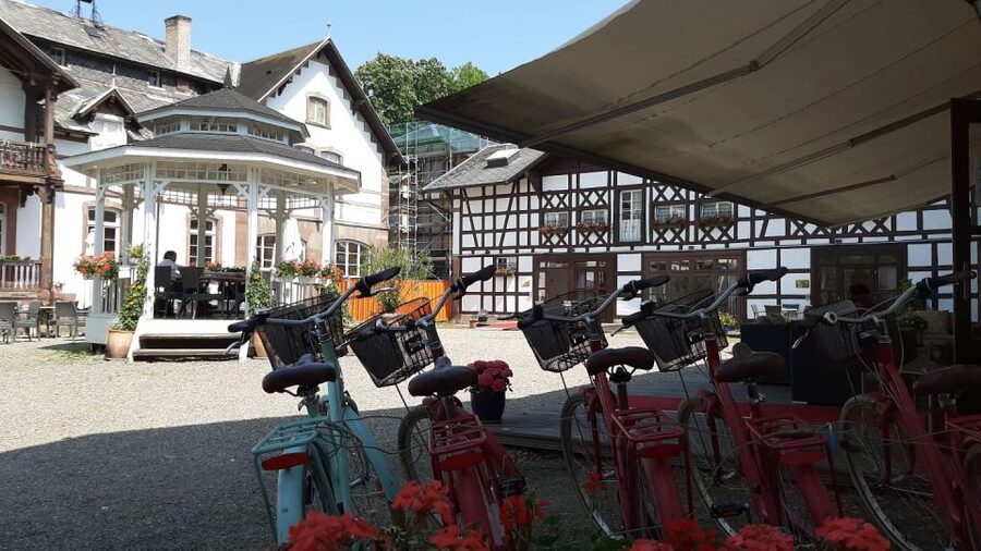 Strasbourg: 1-Day Bike Rental - Where to Meet Near Strasbourg Station and the Cathedral