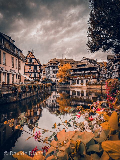 Strasbourg: Guided Historical Neighborhoods Walking Tour - Place Kléber, Christmas tree tradition and winter market magic