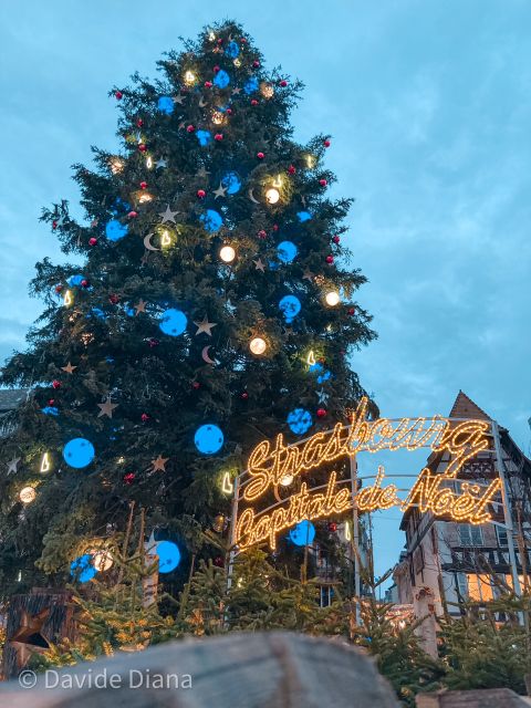 Strasbourg: Guided Historical Neighborhoods Walking Tour - Petite France, half-timbered streets you can actually see up close
