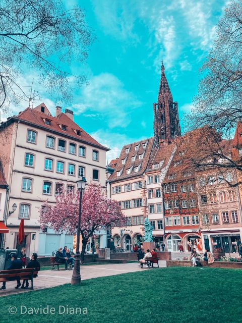 Strasbourg: Guided Historical Neighborhoods Walking Tour - Notre Dame de Strasbourg from the outside, plus Rayonnant Gothic cues