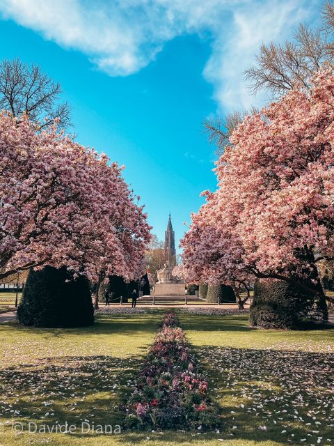 Strasbourg: Guided Historical Neighborhoods Walking Tour - Place Broglie and the walk between major squares