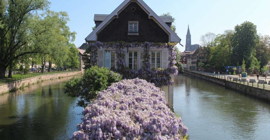 Strasbourg: Walking Tour with Local Guide - From Grande Île to the Cathedral, how this tour fits into your first day