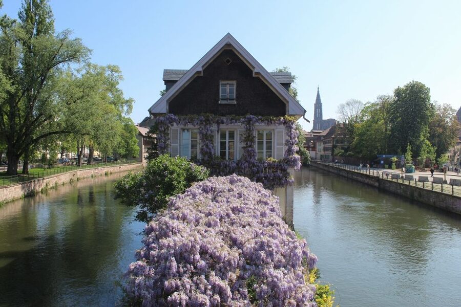 Strasbourg: Walking Tour with Local Guide - Place dAusterlitz to Ponts Couverts, easing in with the old city rhythm