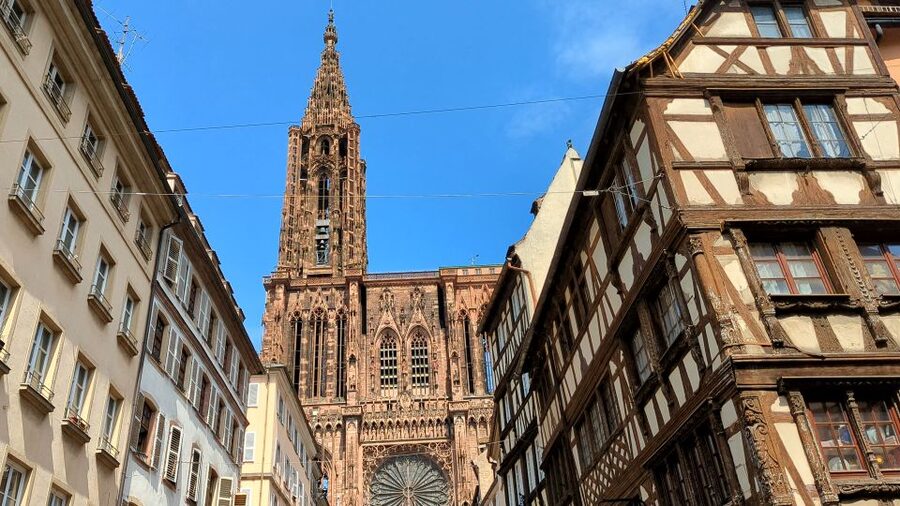 Strasbourg: Walking Tour with Local Guide - Tonneliers district, bars and restaurants with a local-life focus