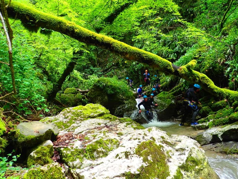 Talloires: Guided Canyoning Experience in Angon Canyon - Equipment included: what you pay for at $64