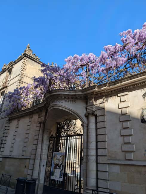 The Best of Bordeaux Walking Tour + 1 Glass of Wine - Value check: $4.74 plus a €14 glass deal