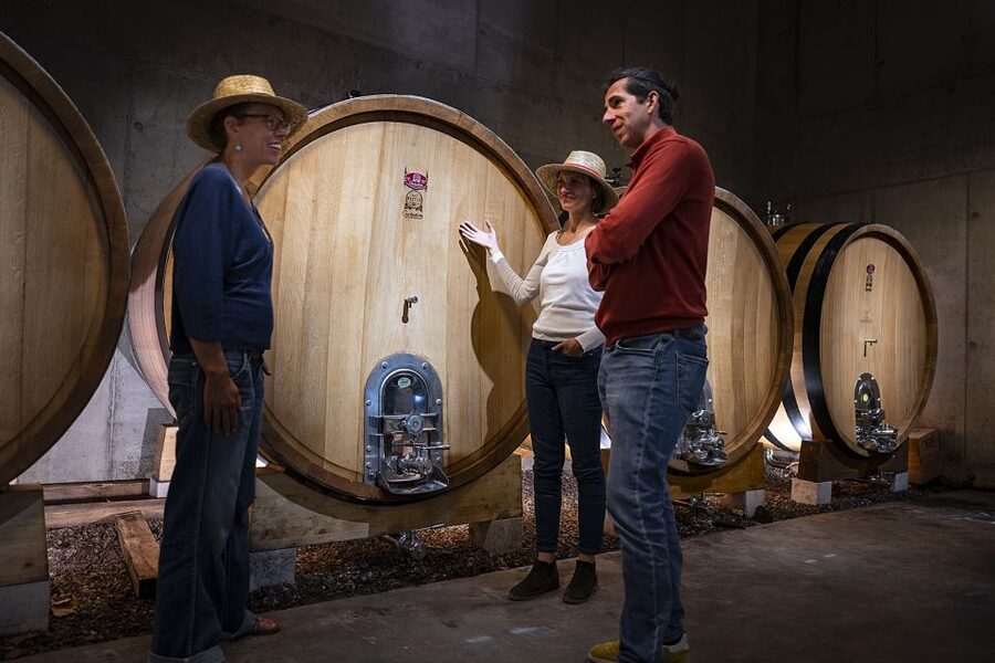 The Châteaux of Grès de Montpellier & Wine Tasting - Should you book the Châteaux of Grès de Montpellier & Wine Tasting?