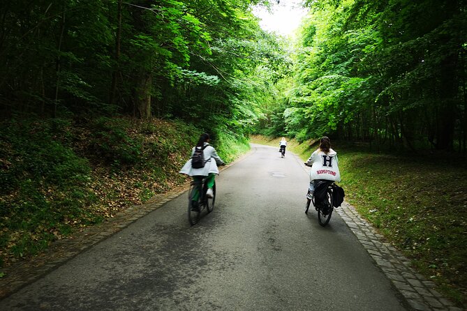 Versailles Full-Day Electric Bike Tour : Market, Picnic & Palace - Where it starts: Paris streets to a Napoleonic viewpoint