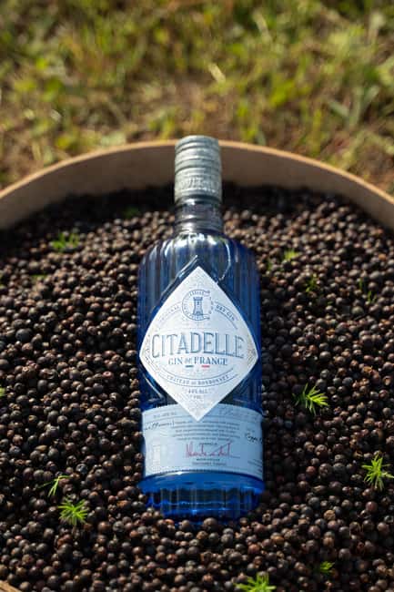 Visit Citadelle Gin Distillery - Citadelle Gin at Château de Bonbonnet: what the experience really is