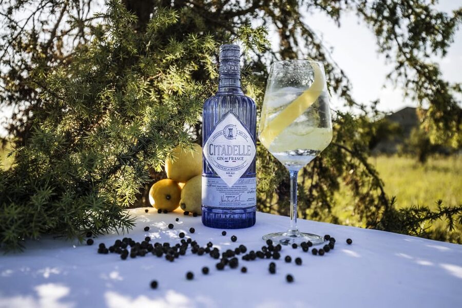 Visit Citadelle Gin Distillery - Inside the cathedral distillery and the Charente stills
