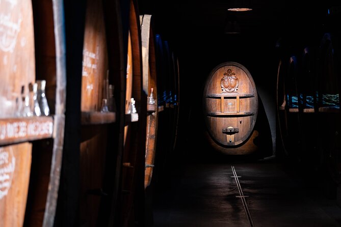 Wine tour, tasting and Alsatian meal - 100% immersive experience - Child Friendly Details That Make This Tour Easier For Families